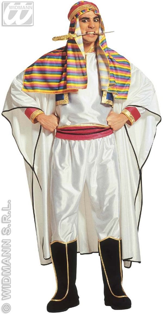 1001 Nacht & Arabisch & Midden-Oosten Kostuum | Lawrence Van Arabie Egyptenaar Kostuum Man | Medium | Carnaval kostuum | Verkleedkleding